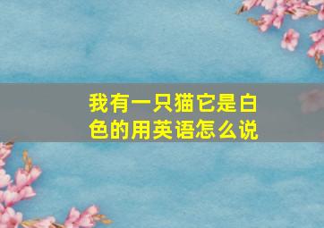 我有一只猫它是白色的用英语怎么说