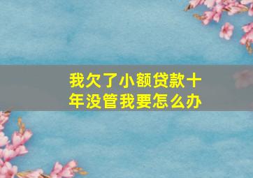 我欠了小额贷款十年没管我要怎么办