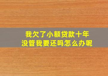 我欠了小额贷款十年没管我要还吗怎么办呢