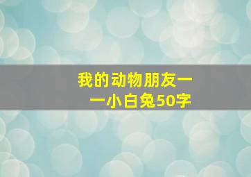 我的动物朋友一一小白兔50字