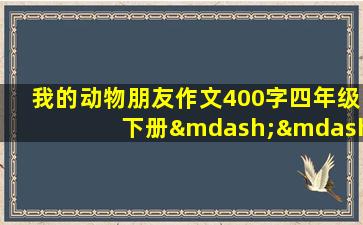 我的动物朋友作文400字四年级下册——兔子