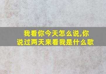 我看你今天怎么说,你说过两天来看我是什么歌