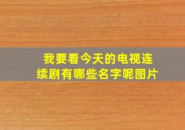 我要看今天的电视连续剧有哪些名字呢图片