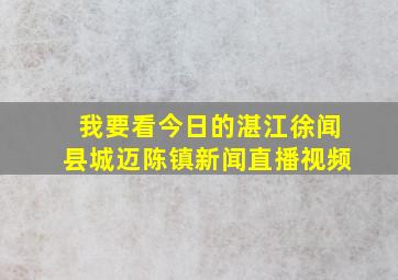 我要看今日的湛江徐闻县城迈陈镇新闻直播视频