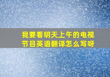 我要看明天上午的电视节目英语翻译怎么写呀