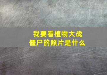 我要看植物大战僵尸的照片是什么