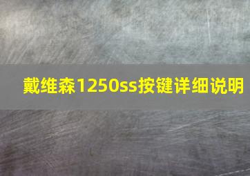 戴维森1250ss按键详细说明