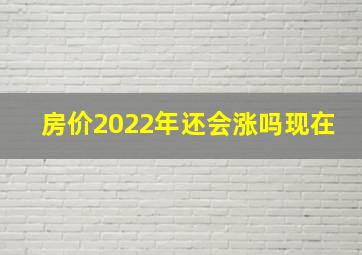 房价2022年还会涨吗现在