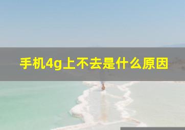 手机4g上不去是什么原因