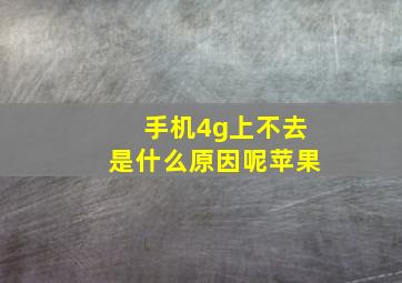 手机4g上不去是什么原因呢苹果