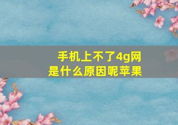 手机上不了4g网是什么原因呢苹果