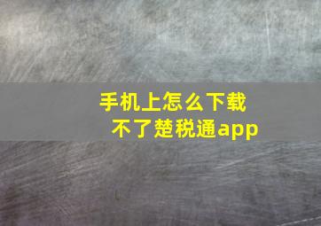 手机上怎么下载不了楚税通app