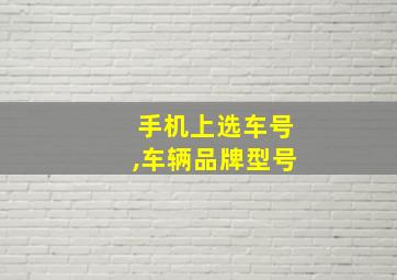 手机上选车号,车辆品牌型号