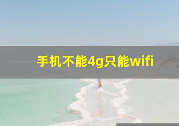 手机不能4g只能wifi