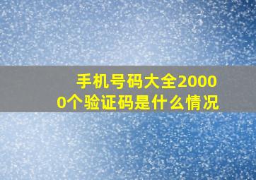 手机号码大全20000个验证码是什么情况