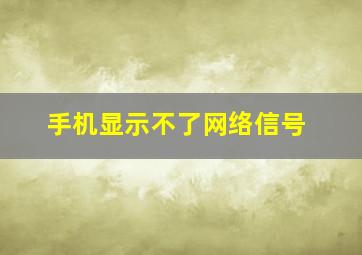 手机显示不了网络信号