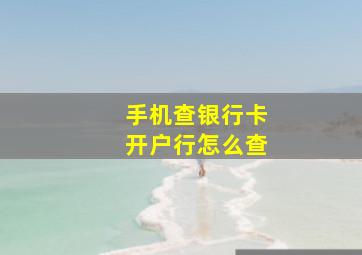 手机查银行卡开户行怎么查