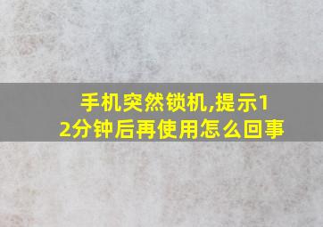 手机突然锁机,提示12分钟后再使用怎么回事