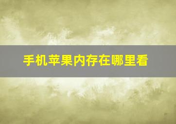 手机苹果内存在哪里看