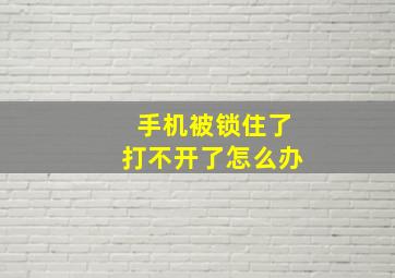 手机被锁住了打不开了怎么办