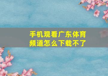 手机观看广东体育频道怎么下载不了