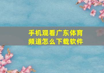 手机观看广东体育频道怎么下载软件