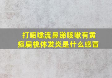 打喷嚏流鼻涕咳嗽有黄痰扁桃体发炎是什么感冒