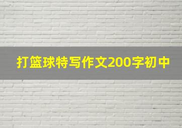 打篮球特写作文200字初中