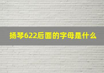 扬琴622后面的字母是什么