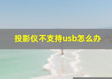 投影仪不支持usb怎么办