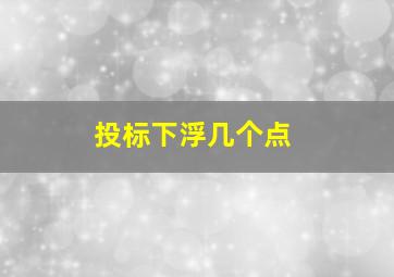 投标下浮几个点