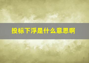 投标下浮是什么意思啊