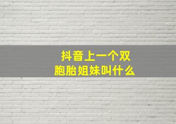 抖音上一个双胞胎姐妹叫什么