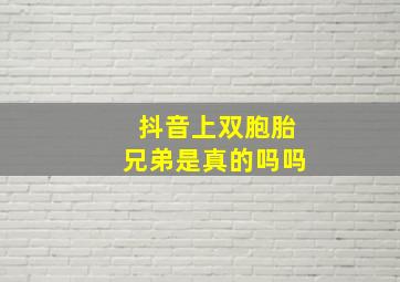 抖音上双胞胎兄弟是真的吗吗