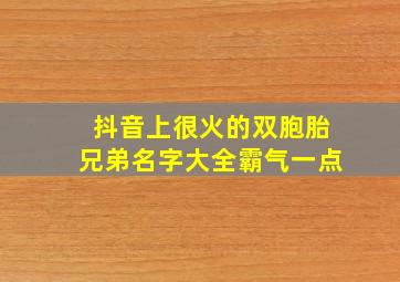 抖音上很火的双胞胎兄弟名字大全霸气一点