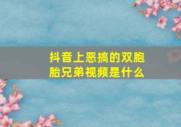 抖音上恶搞的双胞胎兄弟视频是什么