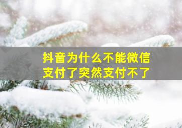 抖音为什么不能微信支付了突然支付不了