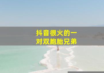 抖音很火的一对双胞胎兄弟