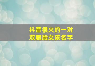 抖音很火的一对双胞胎女孩名字