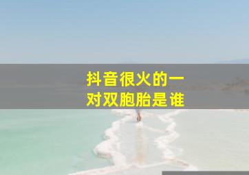 抖音很火的一对双胞胎是谁