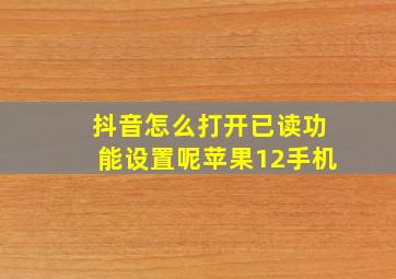 抖音怎么打开已读功能设置呢苹果12手机