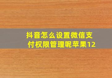 抖音怎么设置微信支付权限管理呢苹果12