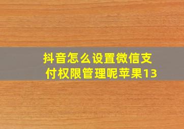 抖音怎么设置微信支付权限管理呢苹果13