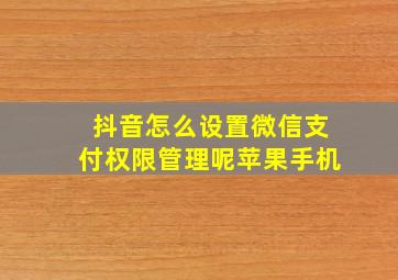 抖音怎么设置微信支付权限管理呢苹果手机