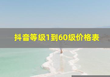 抖音等级1到60级价格表