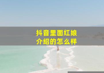 抖音里面红娘介绍的怎么样