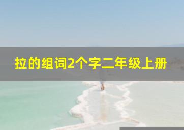 拉的组词2个字二年级上册