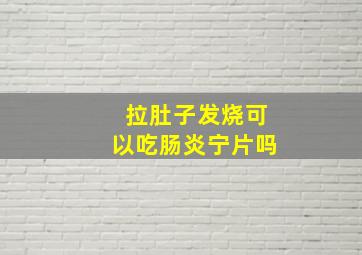 拉肚子发烧可以吃肠炎宁片吗