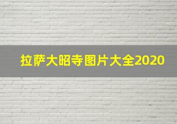 拉萨大昭寺图片大全2020