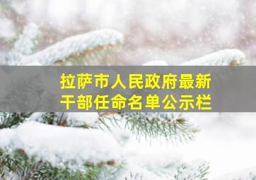 拉萨市人民政府最新干部任命名单公示栏